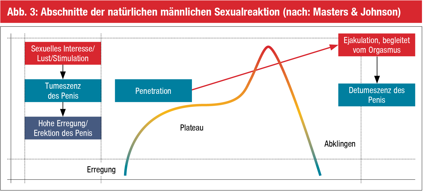 Ejaculatio Praecox Von Der Diagnose Zur Effektiven Therapie Die Punkte Medmedia